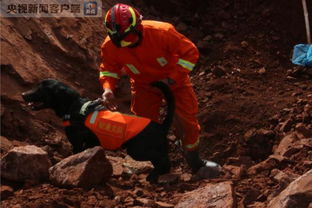 云南鲁甸县施工现场发生山体垮塌 现已致4人遇难原因待调查