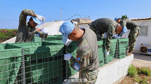 我赴黎维和建筑工兵分队展开新一轮年度工程施工任务